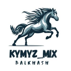 KYMYZ MIX logo